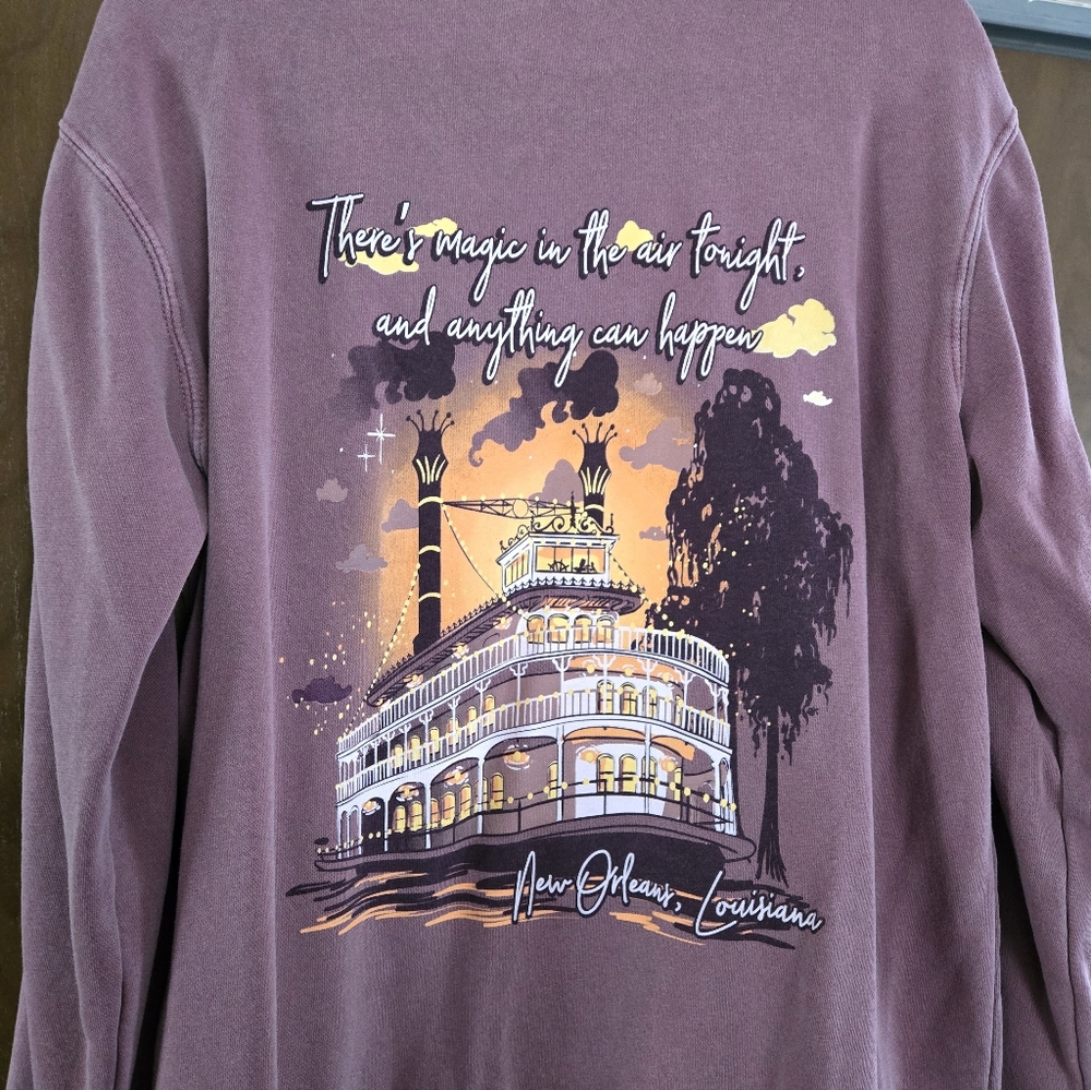 Zipadeetees Tiana Princess and the Frog sweatshirt